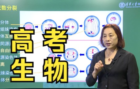 [图]【高考生物】聚焦“大概念”，这种解题方法思路你还没掌握？