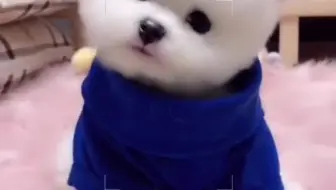 小鱼要吃我吗？  救命啊 啥都不挺就挺你
