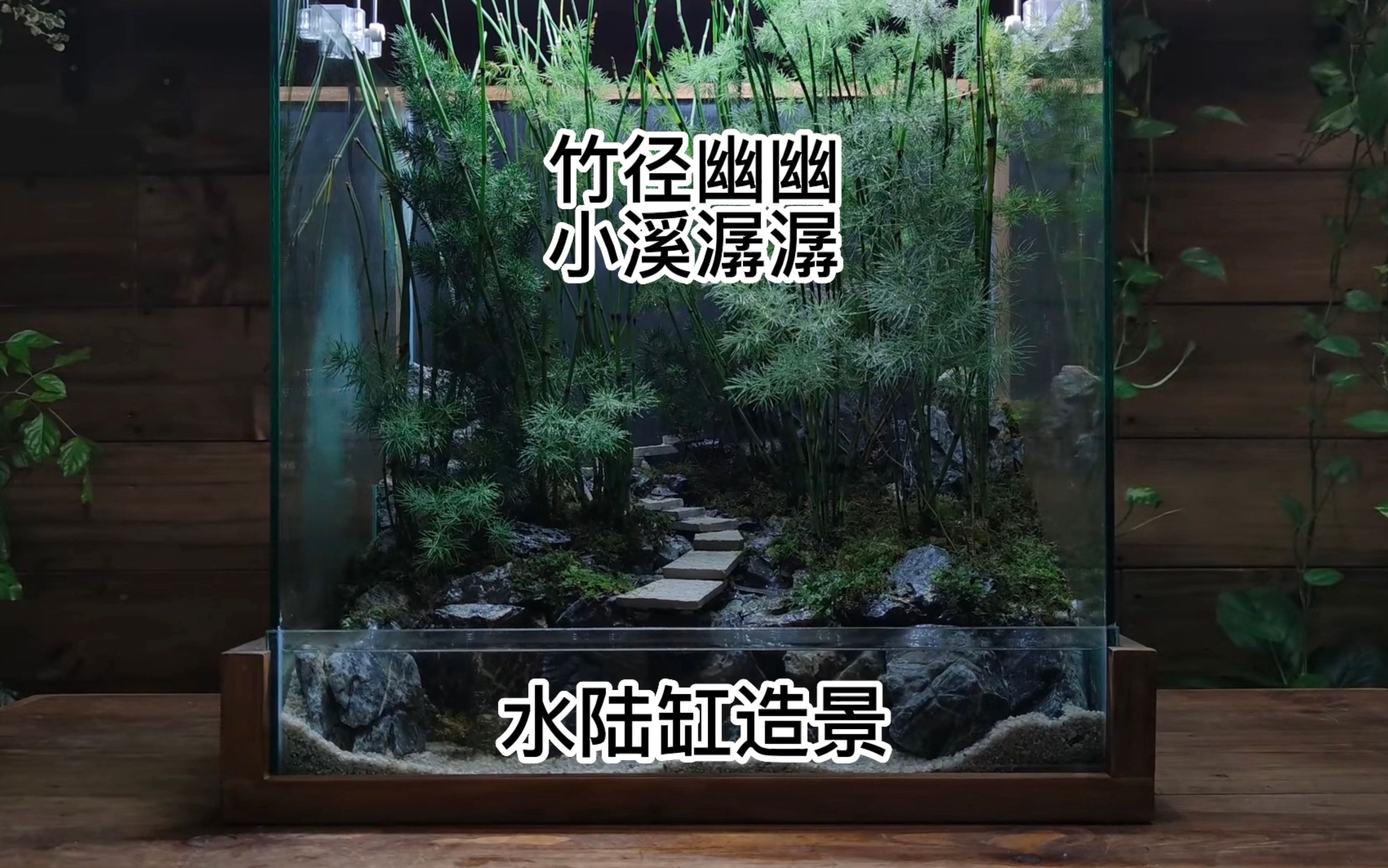 水陆缸造景竹林小溪幽静 马来西亚造景师作品哔哩哔哩bilibili