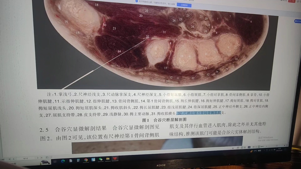 王增涛教授的穴位实体解剖结构相关论文的学习哔哩哔哩bilibili