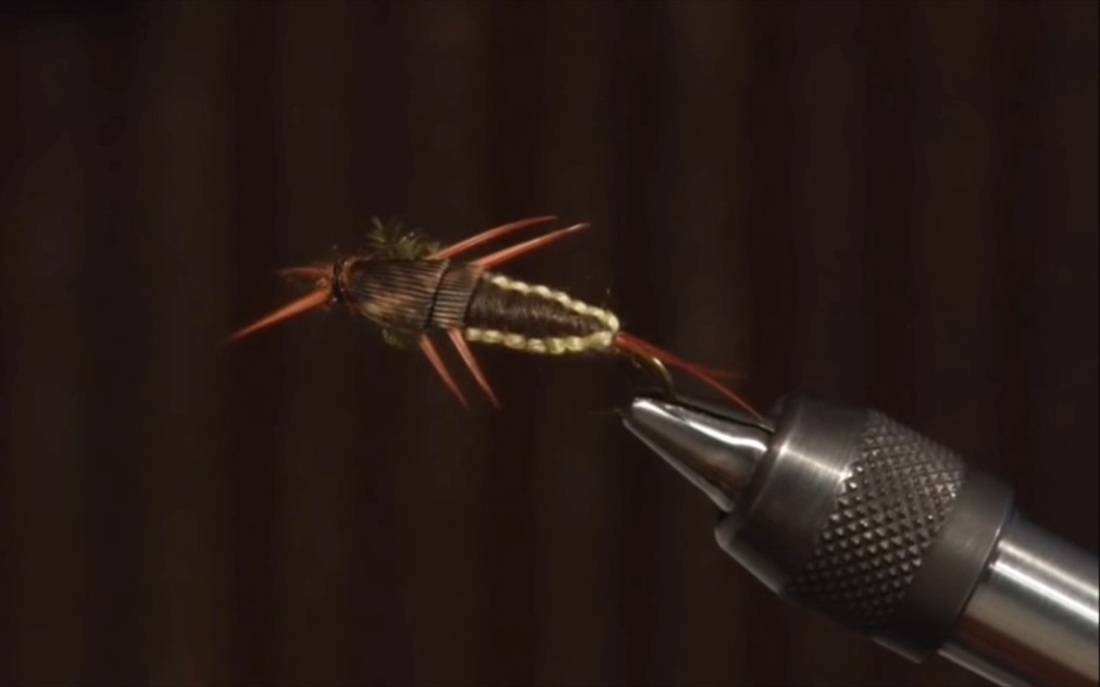 [图]Gary Jones: Woven Stonefly pattern free fly tying video编制躯体石蝇若虫毛钩