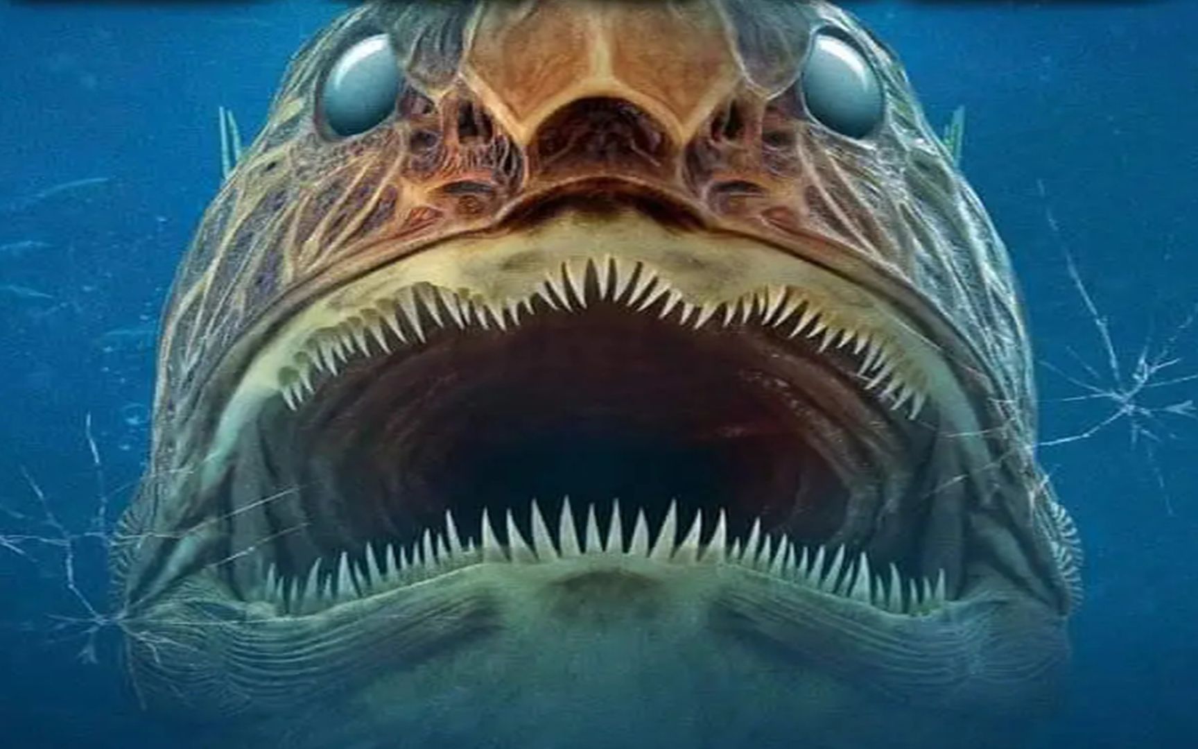 海洋生物感染丧尸病毒,水族馆内到处都是鲨鱼《亡者之湿》恐怖片