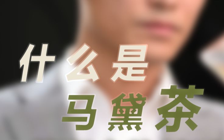 马黛茶是什么?轻松掌握马黛茶小知识哔哩哔哩bilibili