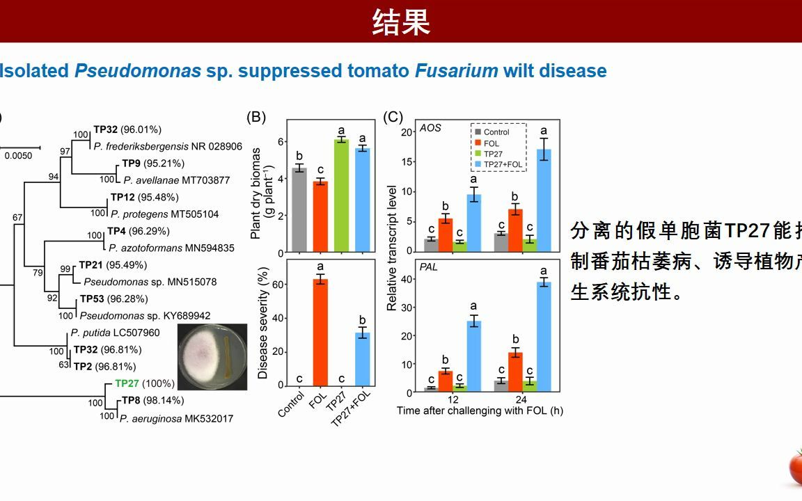 iMeta | 东北农大吴凤芝组/南京农大韦中揭示了生物炭抑制作物土传病害机理哔哩哔哩bilibili