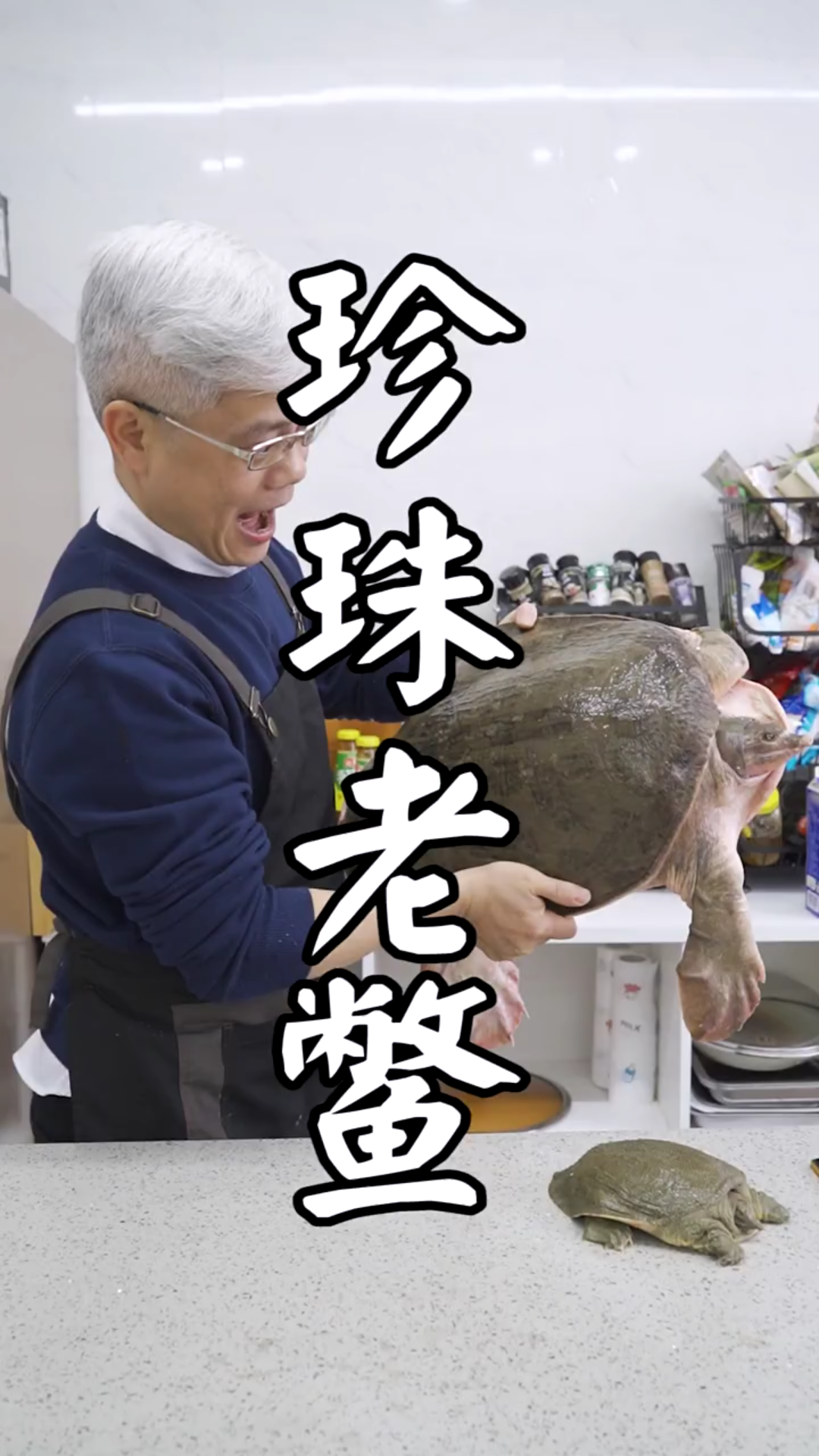司厨明叔:今天用珍珠老鳖做一顿王霸大餐
