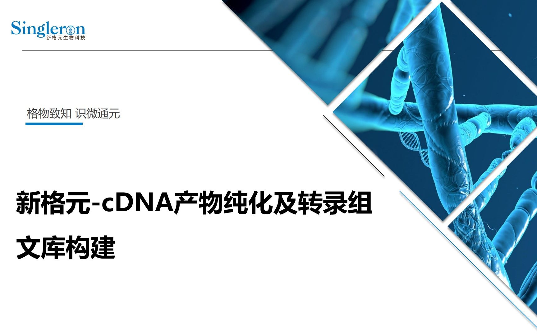 新格元cDNA产物纯化及转录组文库构建哔哩哔哩bilibili