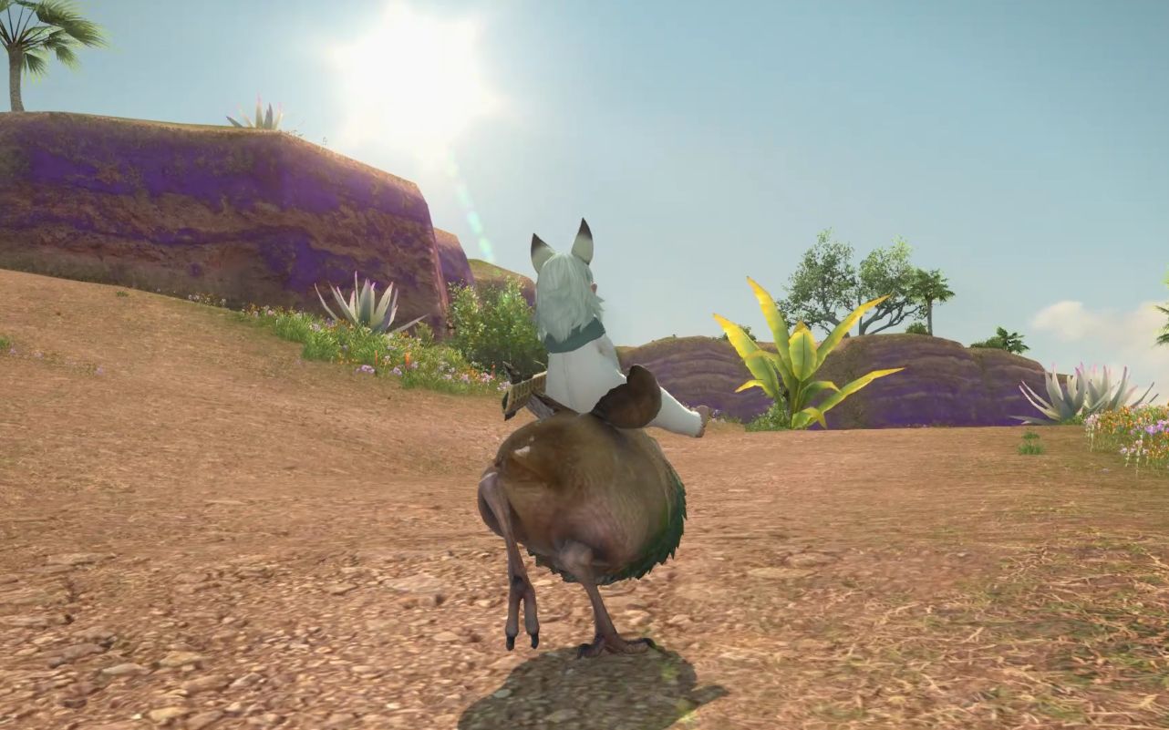 拉拉肥骑渡渡鸟 笑死我了