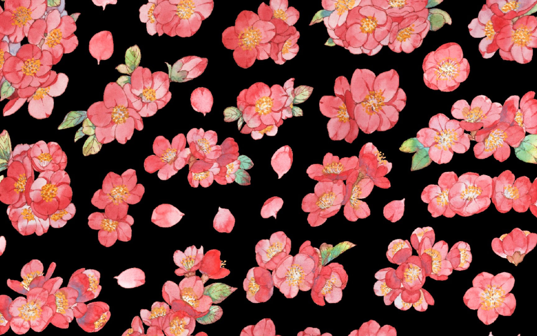 水彩手绘| 贴梗海棠上色过程