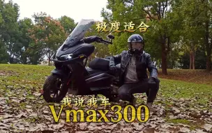 Descargar video: 极度适合-踏板龙嘉300vmax，2年半3.1万公里真实车主谈感受，自己喜欢就好