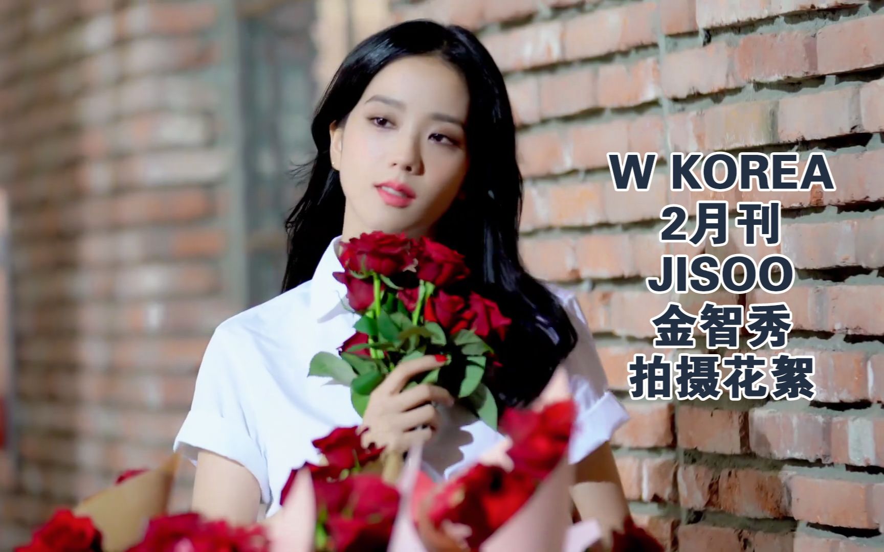 【秀网中字】W KOREA 金智秀JISOO(BLACKPINK)拍摄花絮哔哩哔哩bilibili