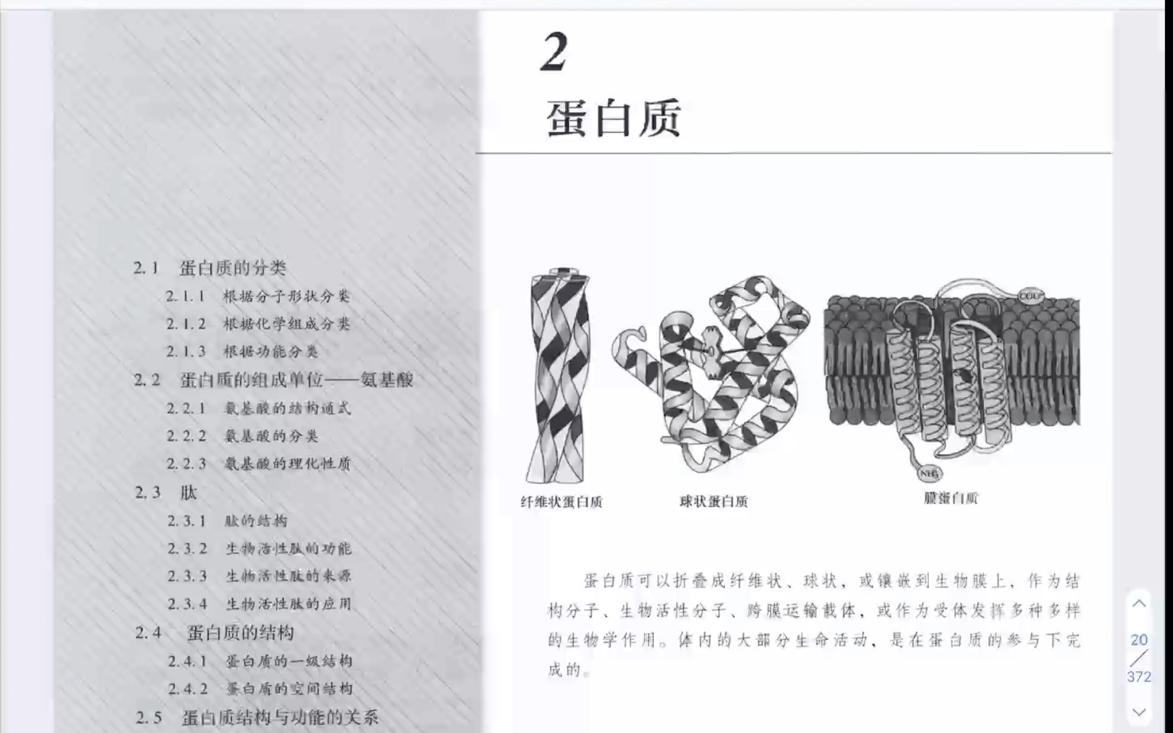 [图]东北师范大学考研 生物化学与分子生物学 张丽萍简明教程版 蛋白质试听课程