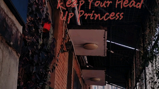 [图]『自我歌单』｜亲爱的公主 抬起你的头 别让皇冠落下。｜《Keep Your Head Up Princess》