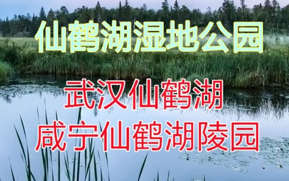 咸宁仙鹤湖湿地园公墓哔哩哔哩bilibili