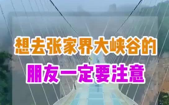 张家界大峡谷一定要注意的事情 旅游攻略哔哩哔哩bilibili