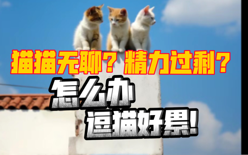 专治猫咪太无聊!猫猫巨爱的高帧率逗猫游戏 全自动逗猫 解放铲屎官双手哔哩哔哩bilibili