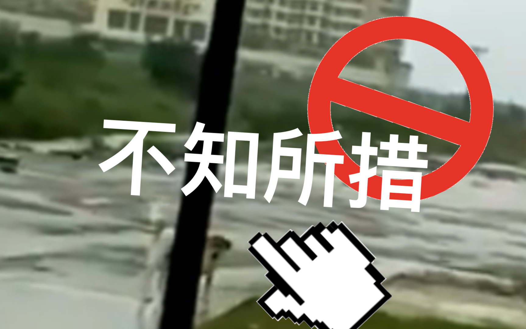 狗:我当时害怕极了