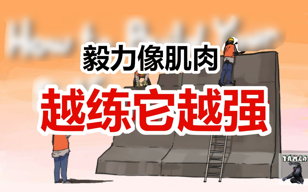 【驯心课堂 110】锻炼意志力 怎么个锻炼法?哔哩哔哩bilibili