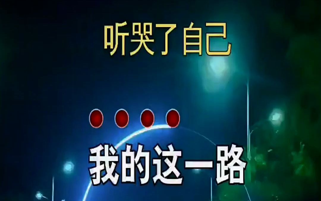 我的这一路唱出多少人的心酸和无奈 歌词句句入心 也许这就是人生吧