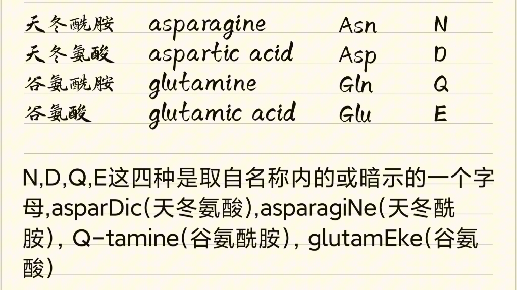 20种氨基酸字母缩写总结哔哩哔哩bilibili