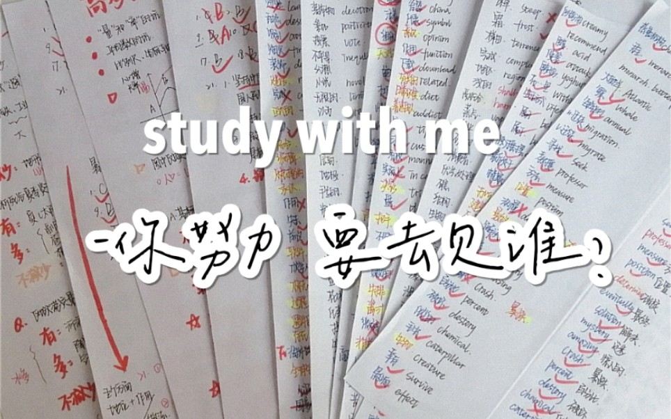 study with me||世界会向那些有目标和远见的人让路||高燃动力向哔哩哔哩bilibili