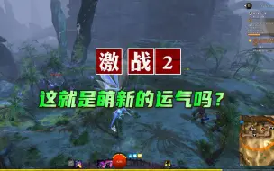 Download Video: 这就是激战2萌新的运气吗？？简直了！