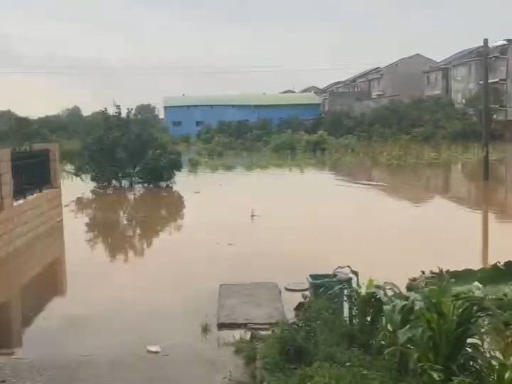 茶陵持续暴雨,洣水水位已接近铁牛!哔哩哔哩bilibili