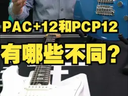 Tải video: 雅马哈PAC+12和PACP12价格相差一倍到底有哪些不同？|宁洲乐器视频推介