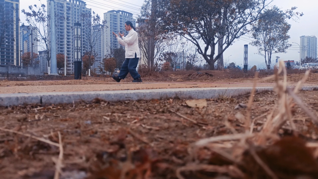 [图]第二部、太极济世：春花秋月梦一场，天下太极出武当。