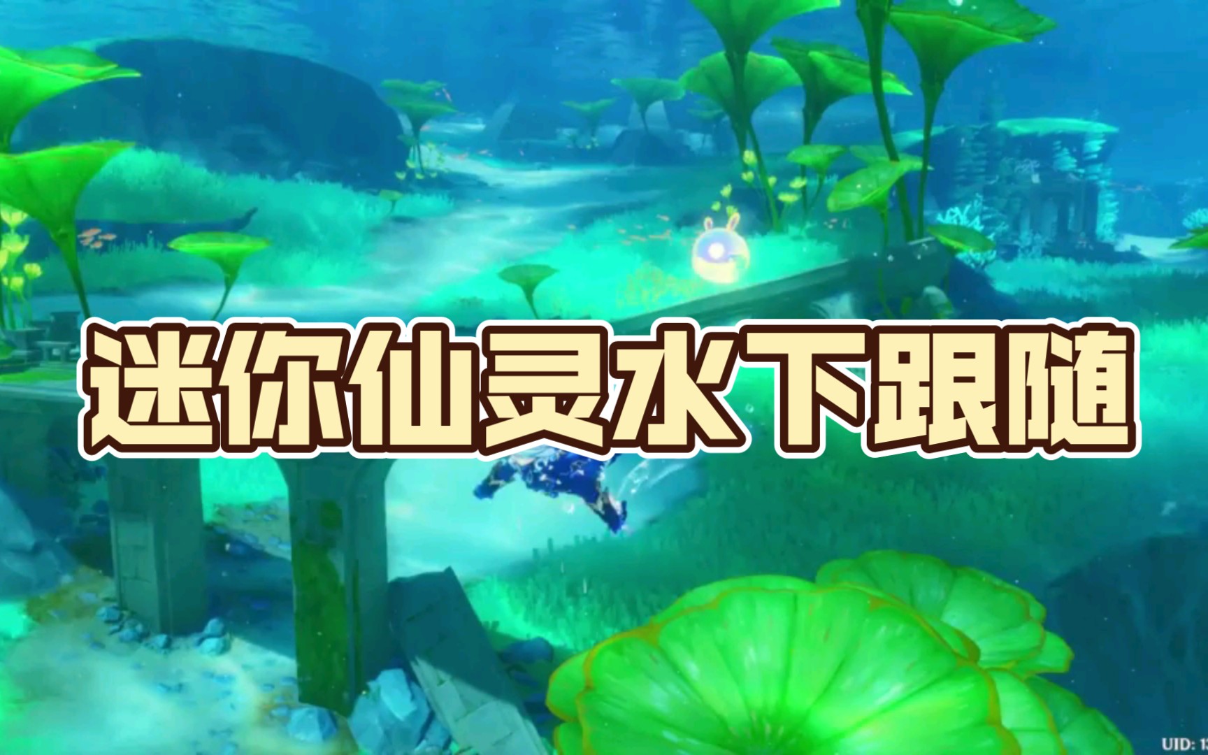 迷你仙灵水下跟随