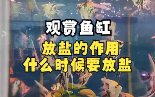 Download Video: 观赏鱼缸放盐的作用，鱼缸什么时候要放盐一次给大家说明白