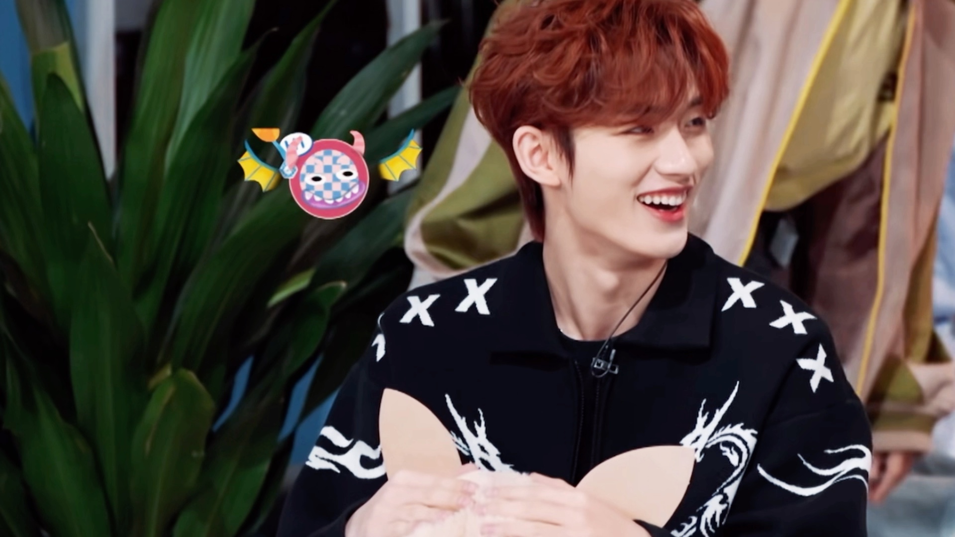 捕捉一只小甜鑫