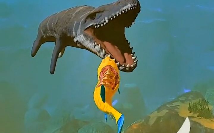 海底大猎杀之发现一只小型苍龙王