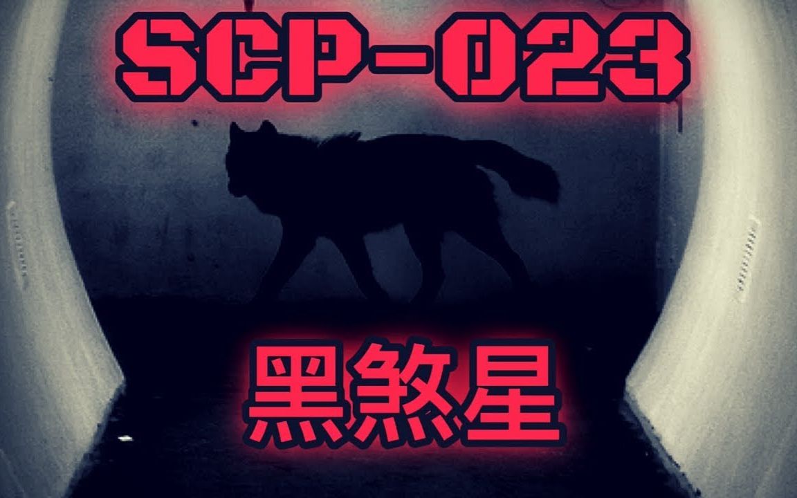 Фото scp 023