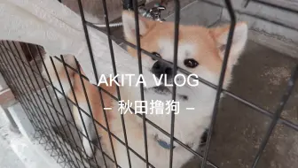 久保田城 威廉酱游日本百名城 东北地区篇 久保田城精准简单旅游攻略日本100名城秋田城日本秋田县秘境旅游介绍 哔哩哔哩 Bilibili