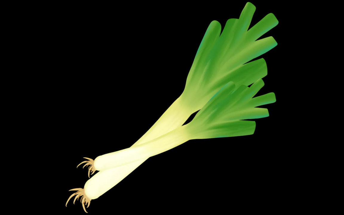 河北隆尧鸡腿葱