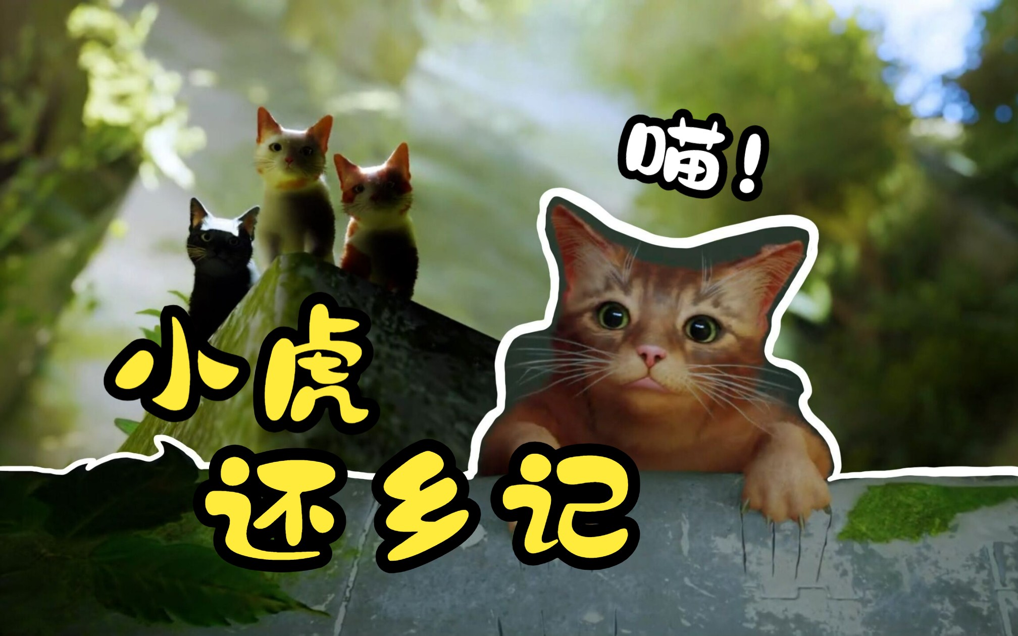 【五七】小虎还乡记《stray》