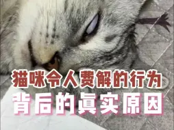 Download Video: 猫咪令人费解的行为背后的真实原因