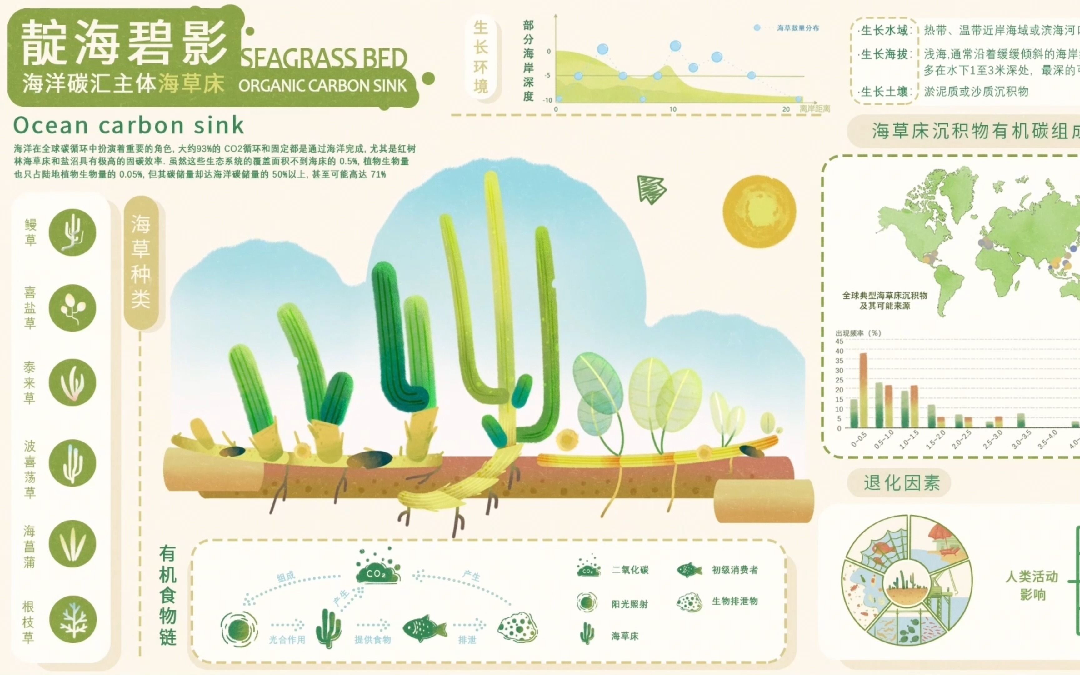 《靛海碧影——海洋碳汇主体海草床》可视化演示