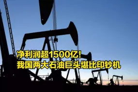 Tải video: 净利润超1500亿！我国两大石油巨头堪比印钞机：一天净赚8.5亿