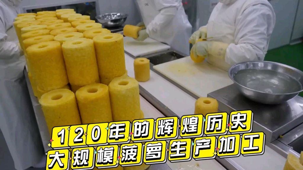 120 年辉煌历史!令人目不暇接的,菠萝生产加工基地