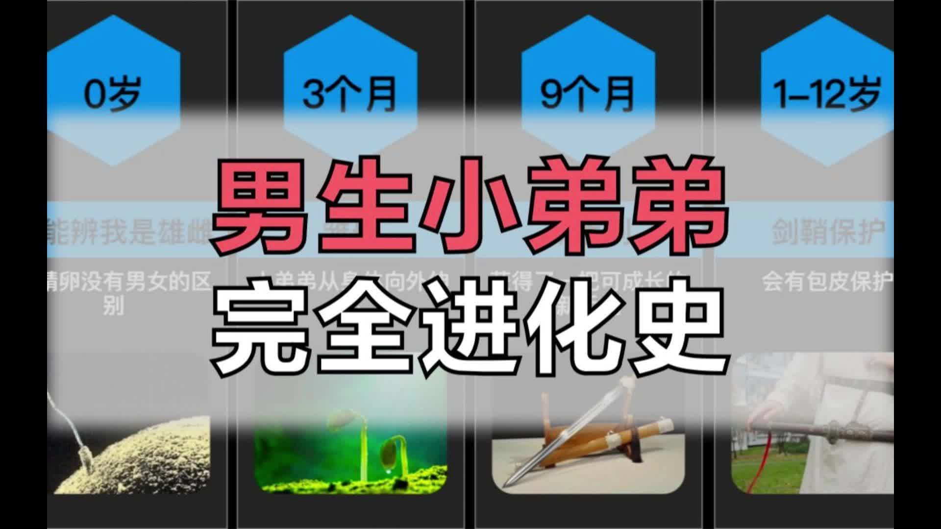 男生小弟弟完全进化史哔哩哔哩bilibili