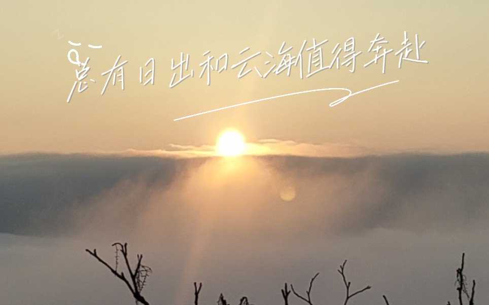 拨雾见山,拨云见日.总有日出和云海值得奔赴