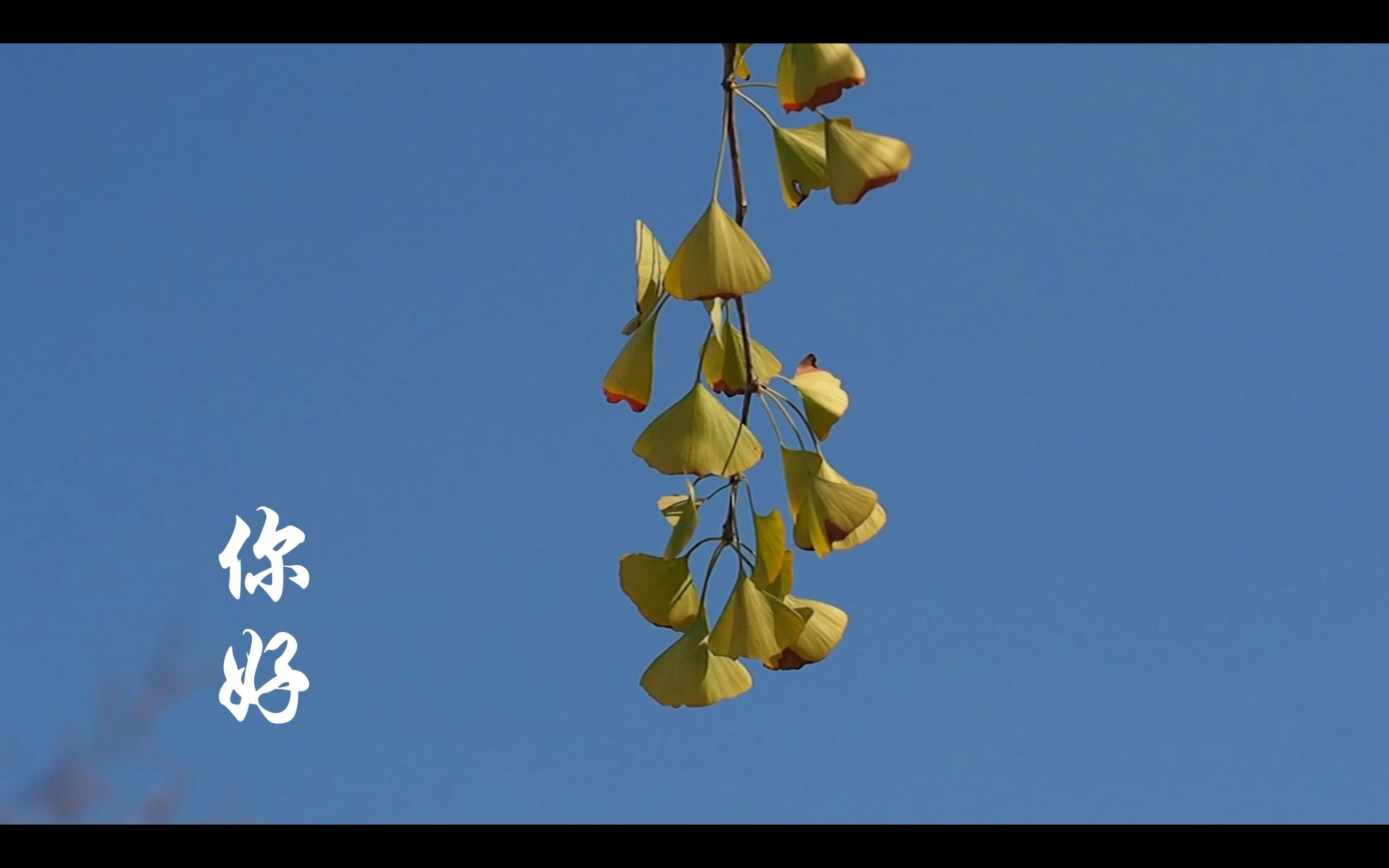 你好!成理在等你