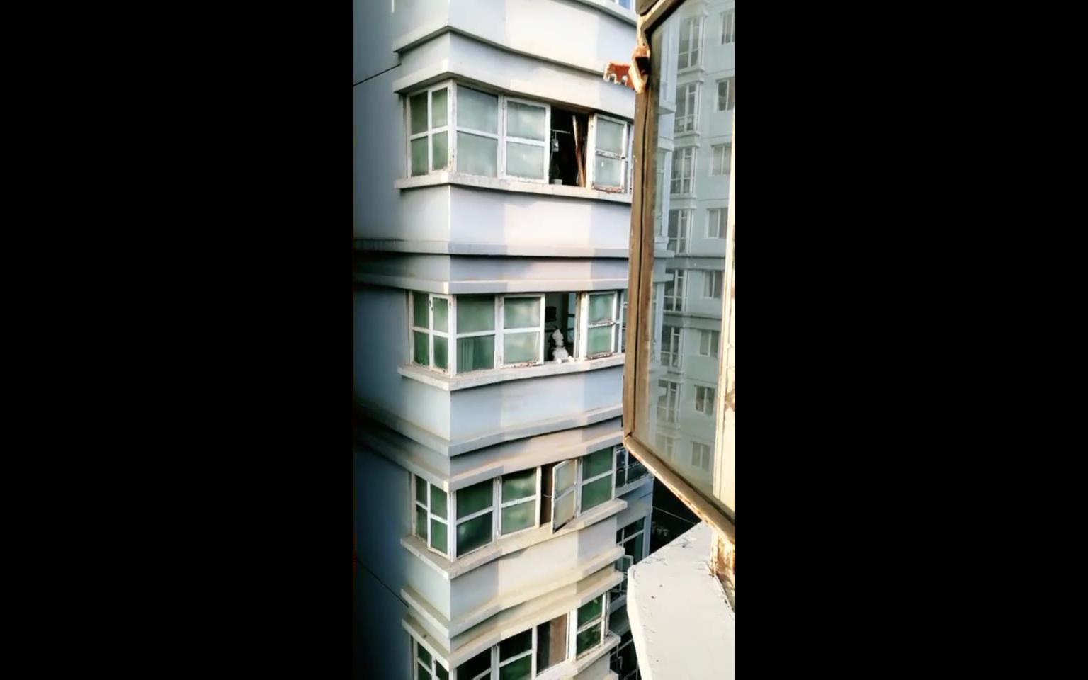 注意对面窗户!_哔哩哔哩_bilibili