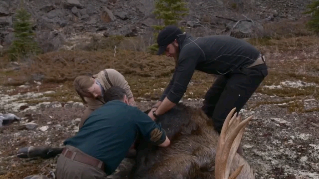 荒野求生两男一女北极圈生存30天即可获得30万美金万万没想到有个猪