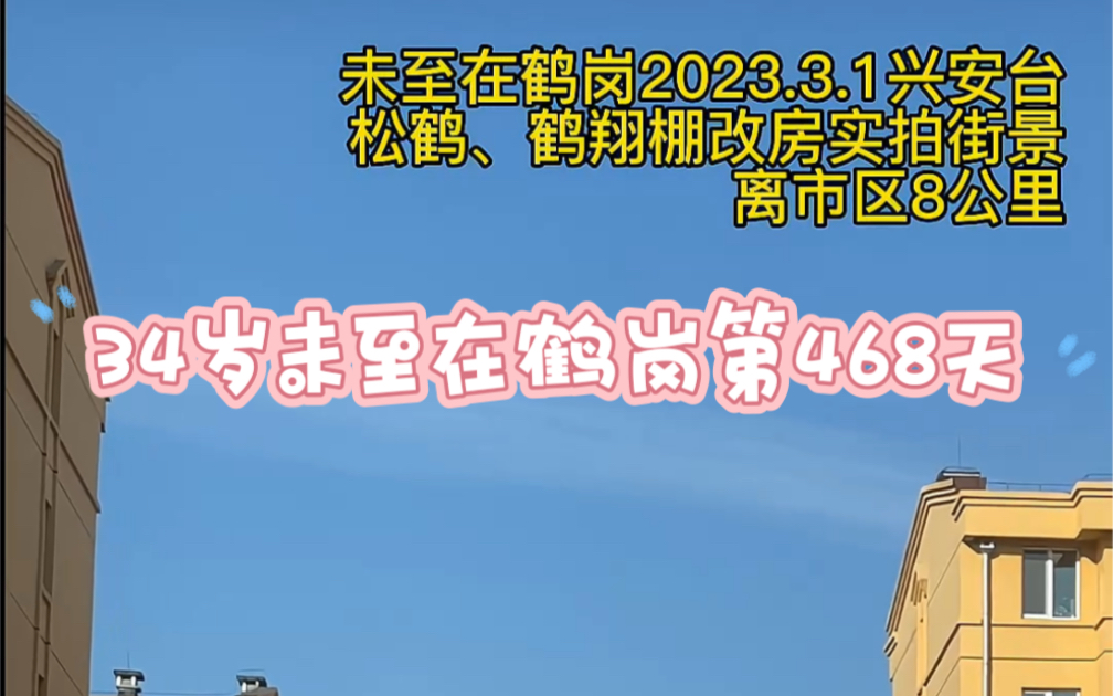 鹤岗出圈很简单,就是性价比,这样的新小区环境,那些所谓的“鹤岗平替”谁能做到?想不踩坑鹤岗云购房也很简单,看完视频就非常清楚了!哔哩哔哩...