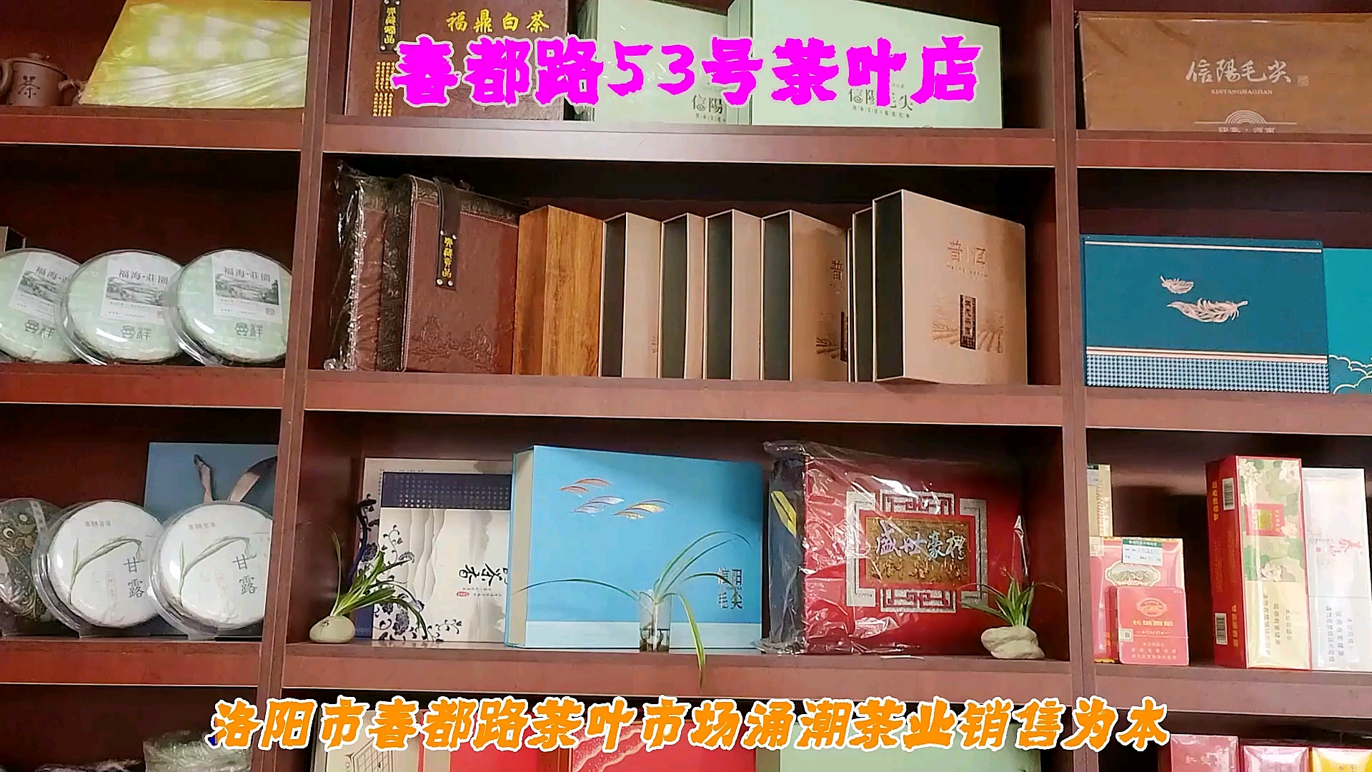 品牌靠的不是花言巧语,而是诚信,产品靠的不是廉价,而是品质!#洛阳茶城 #好茶推荐 #各种茶叶批发哔哩哔哩bilibili