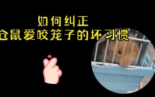 Descargar video: 如何纠正仓鼠爱咬笼子的坏习惯