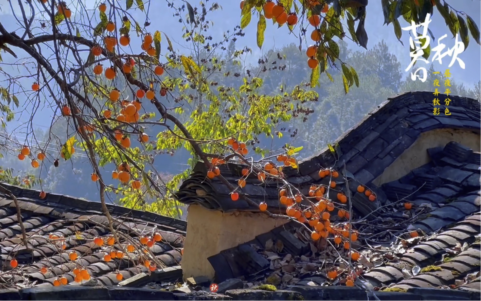 福建宁德屏南四坪村图片