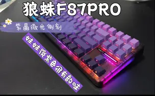 Download Video: 狼蛛F87Pro新配色|紫晶微光-妹妹说侧刻紫色有韵味吗